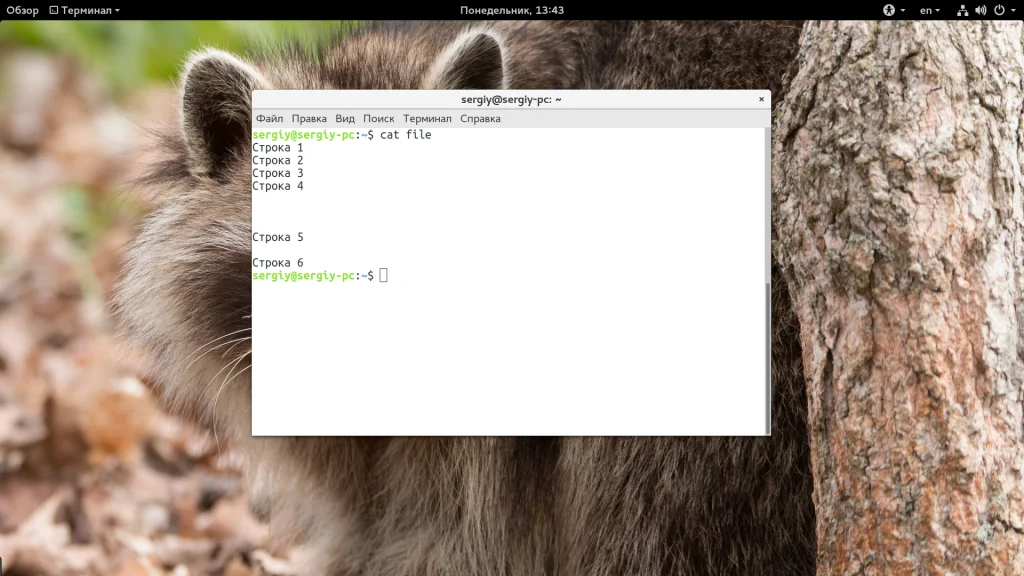 Команда cat в Linux: Секреты, о которых вы не знали