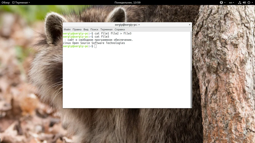 Команда cat в Linux: Секреты, о которых вы не знали