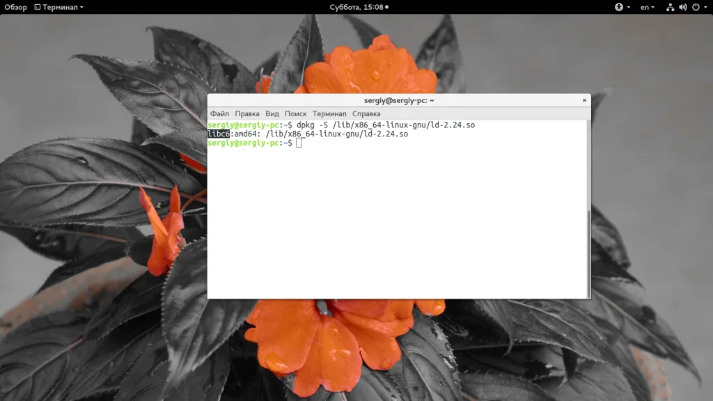 Невидимые герои Linux: как библиотеки делают вашу систему мощной