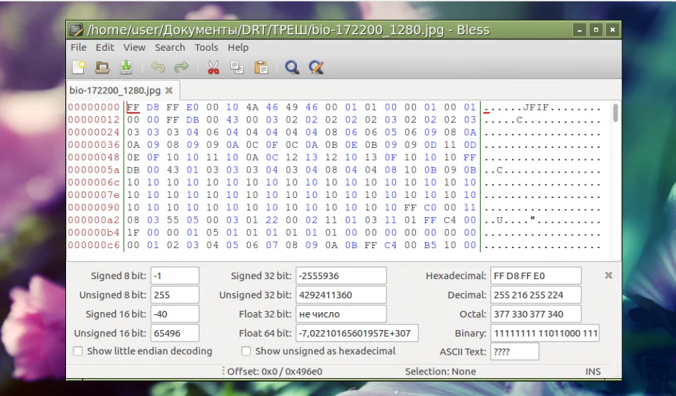 Загляни под капот файла: Топ-15 HEX-редакторов для Linux
