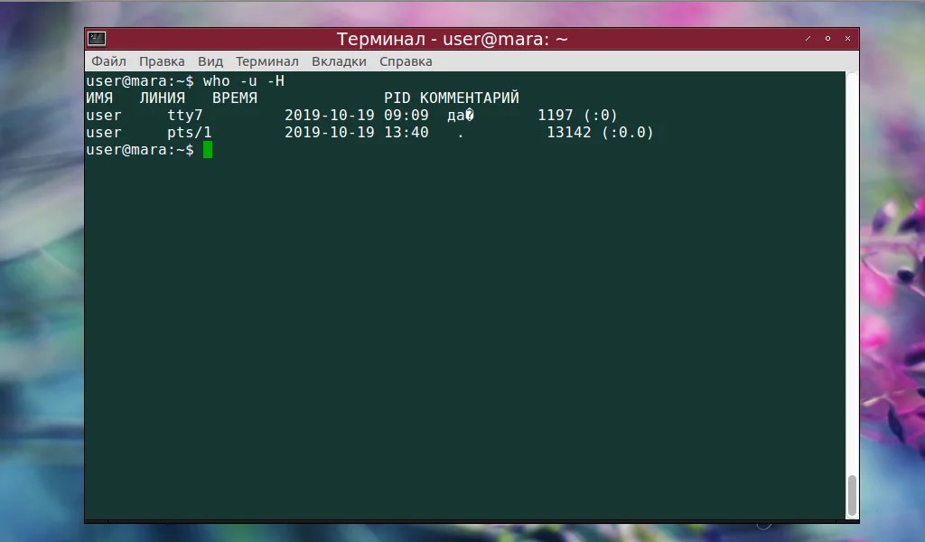 Кто сейчас в системе? Изучаем команду who в Linux
