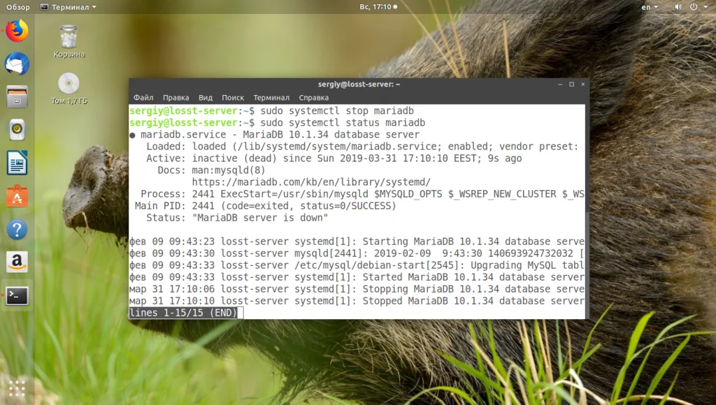 Полное удаление MySQL в Ubuntu: пошаговый гайд для чистого удаления