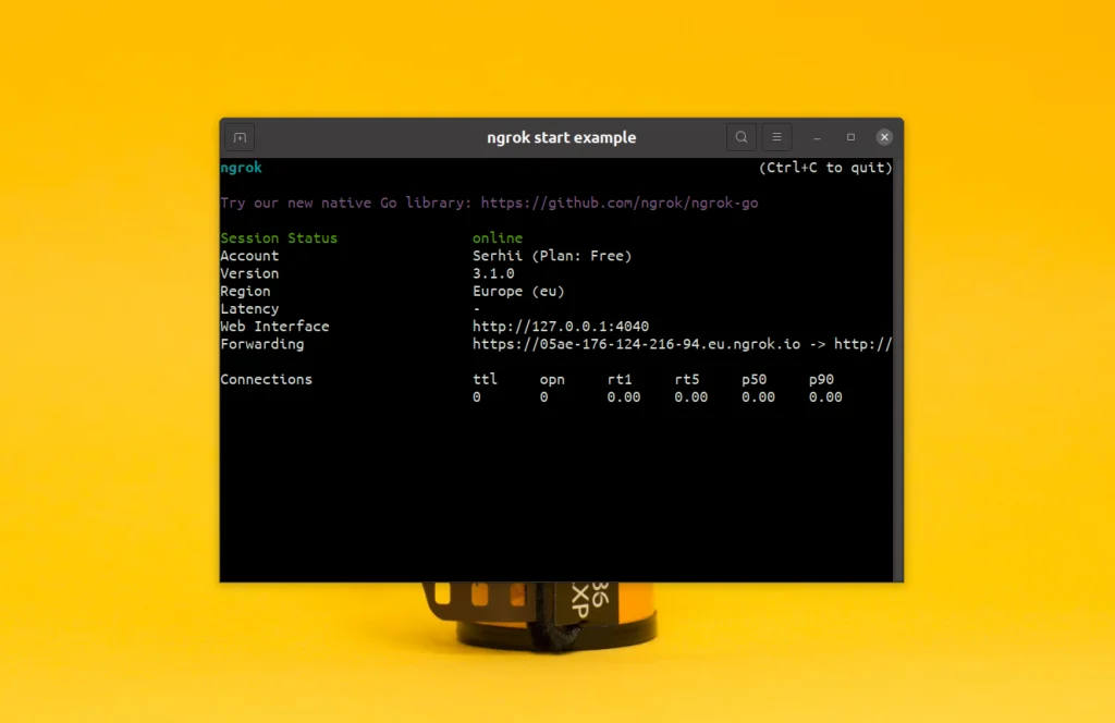 Ngrok: Как вывести локальный сервер в интернет за 5 минут