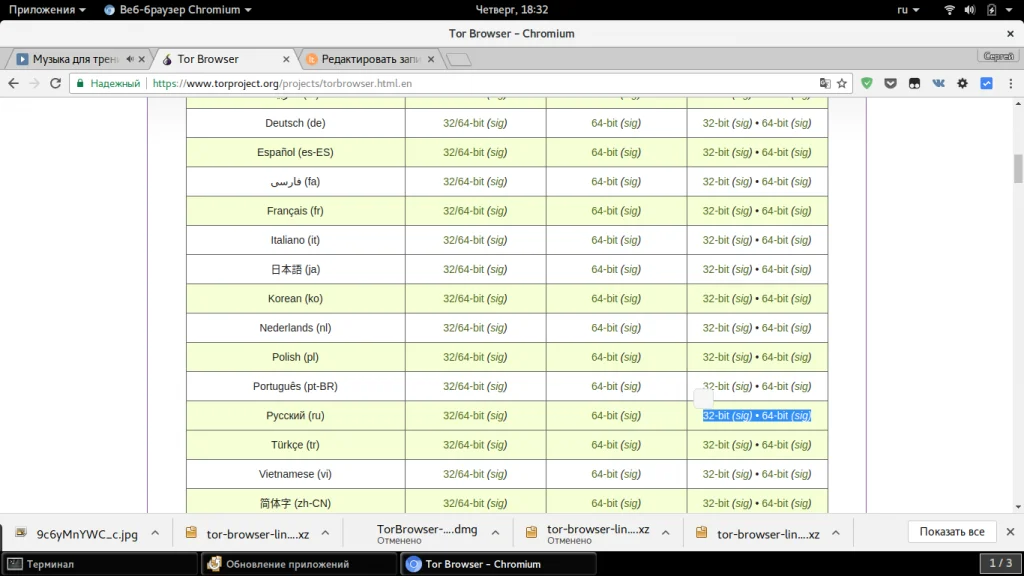 Tor Browser: Полная инструкция по анонимности в сети для каждого