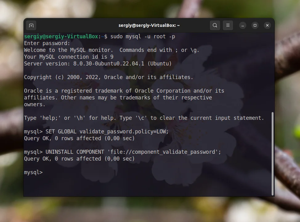 MySQL ругается на пароль? Решаем ошибку валидации за 2 минуты