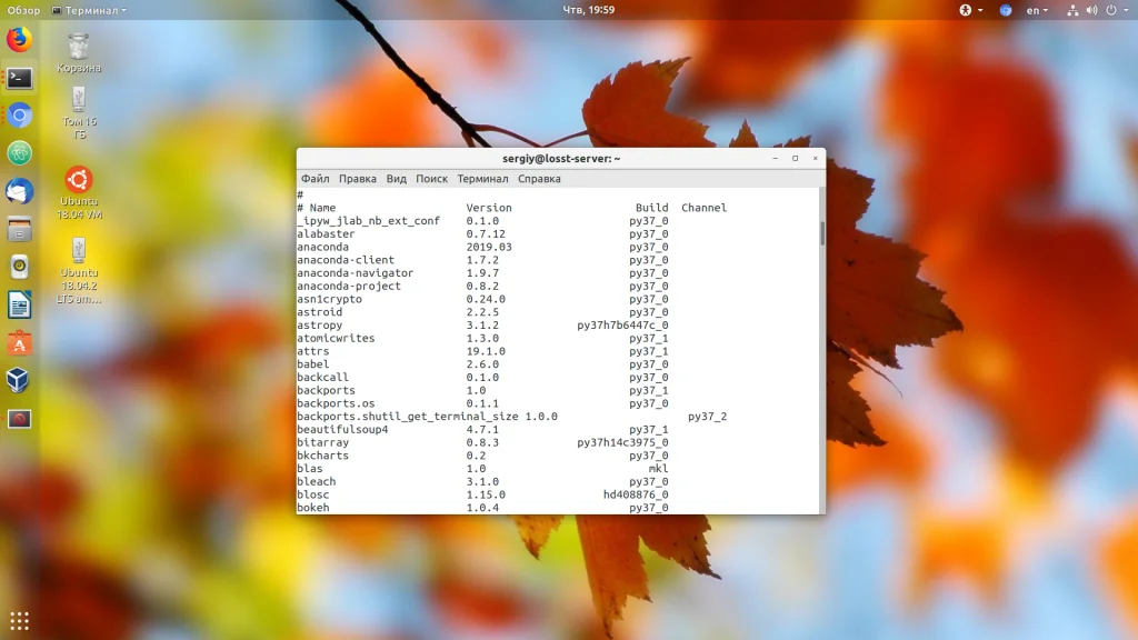 Anaconda в Ubuntu: Полный гайд по установке и настройке для Python-разработки