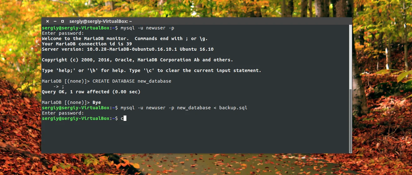 MySQL под угрозой? Создайте надежный бэкап за 5 минут