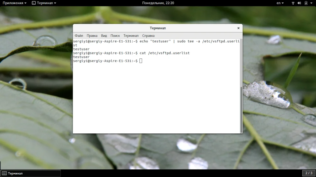 FTP-сервер на Ubuntu 20.04: Быстрая настройка и защита от уязвимостей