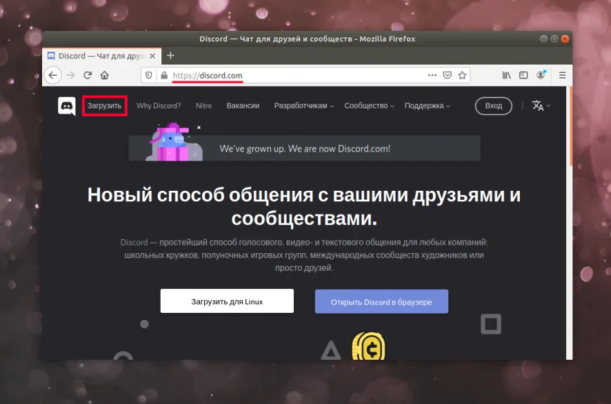 Discord в Ubuntu 20.04: 2 простых способа установки для идеального общения