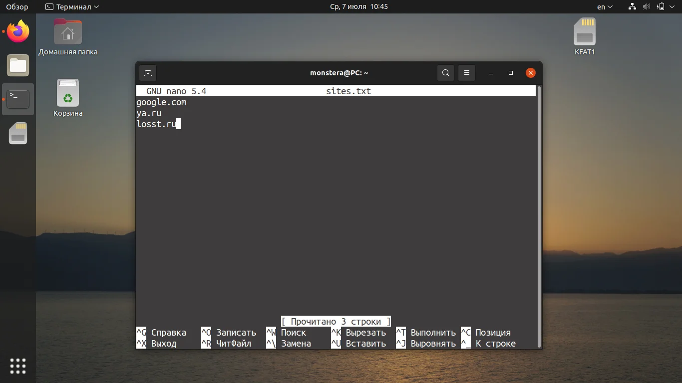Dig в Linux: Полное руководство по мощному DNS-детективу