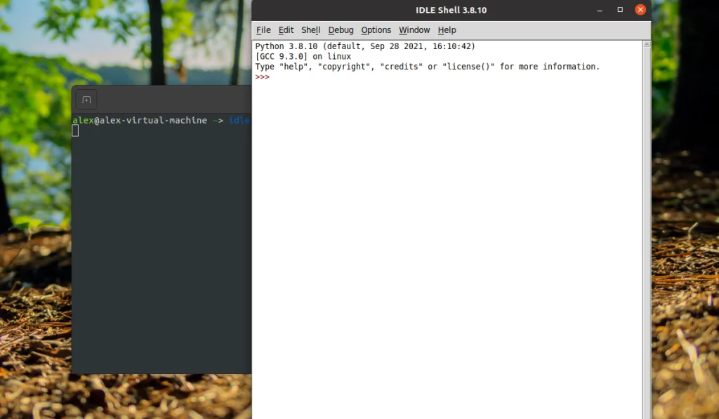 Запускаем IDLE для Python в Ubuntu 20.04: Быстрая установка и первая программа