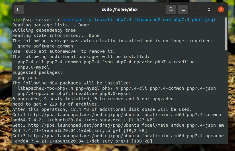LAMP на Ubuntu 20.04: Полное руководство по установке и настройке веб-сервера