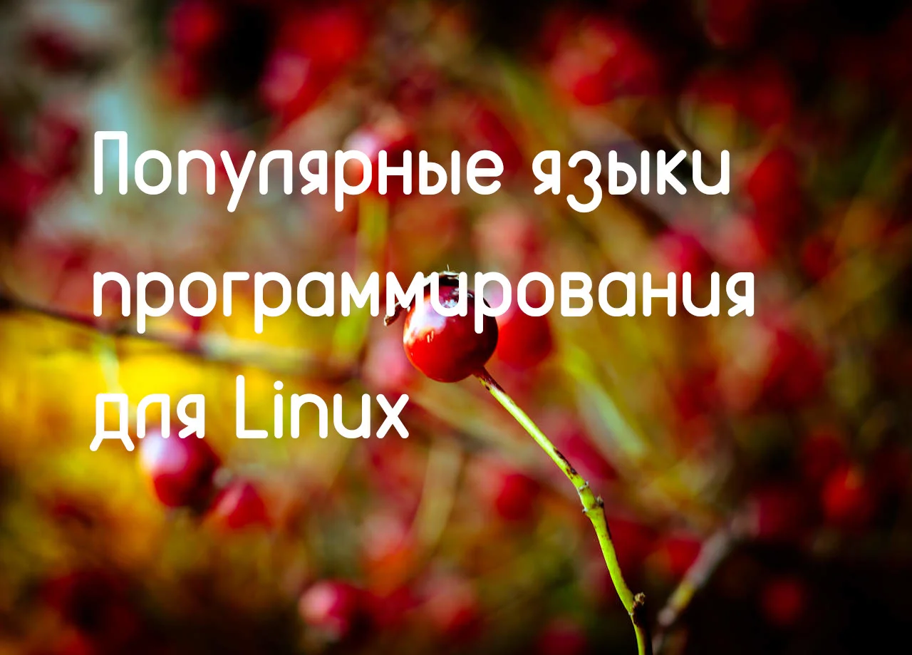 Топ языков программирования для Linux: на чем пишут ядро, софт и скрипты