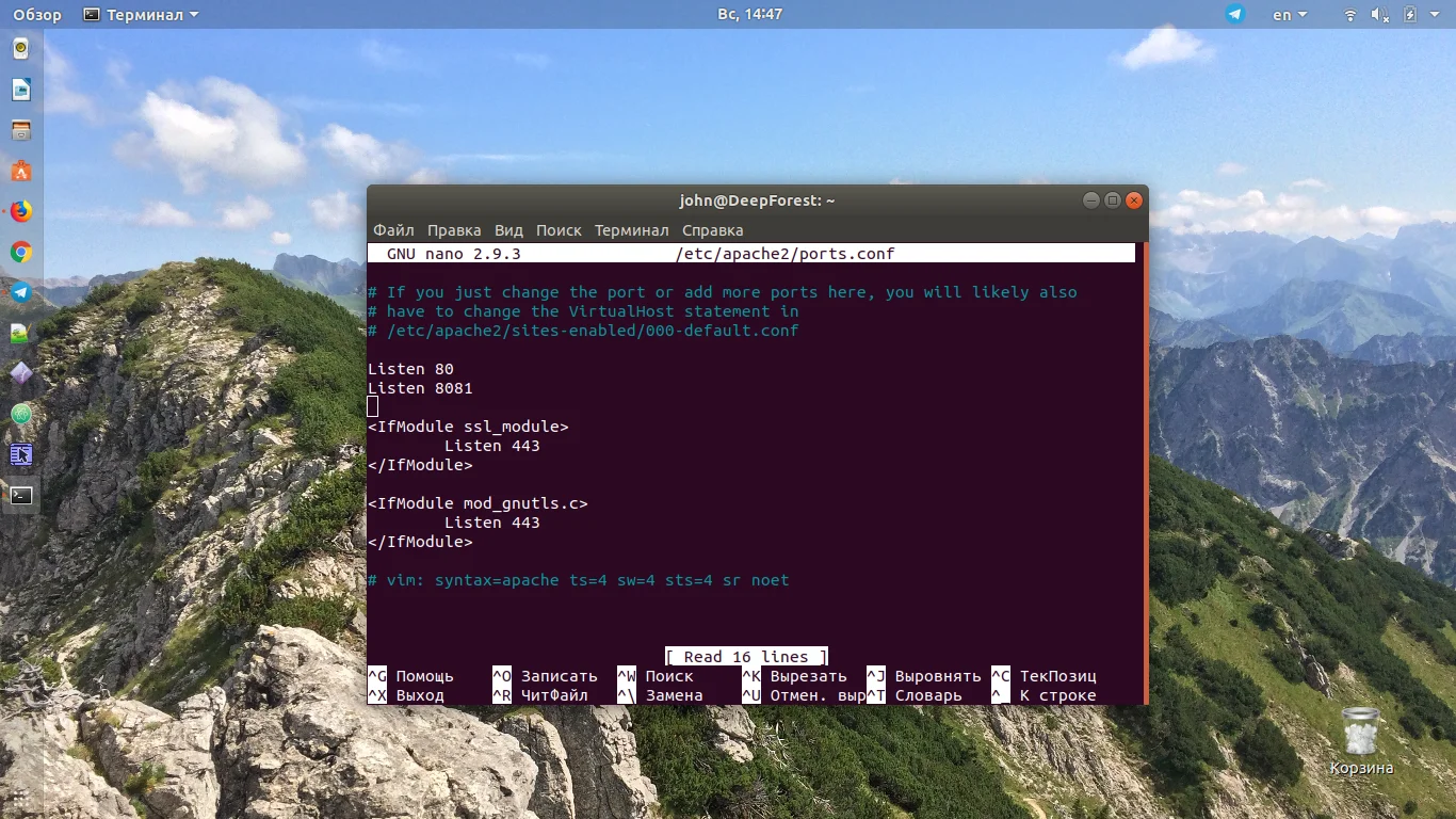Смени порт Apache за 5 минут: полный гайд для Ubuntu и CentOS
