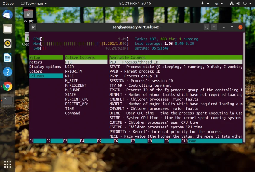 Процессы Linux: как увидеть всё, что скрыто от глаз