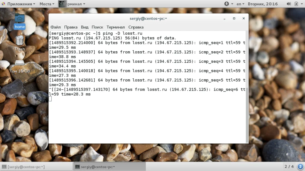 Ping: Твой незаменимый инструмент для диагностики сети в Linux