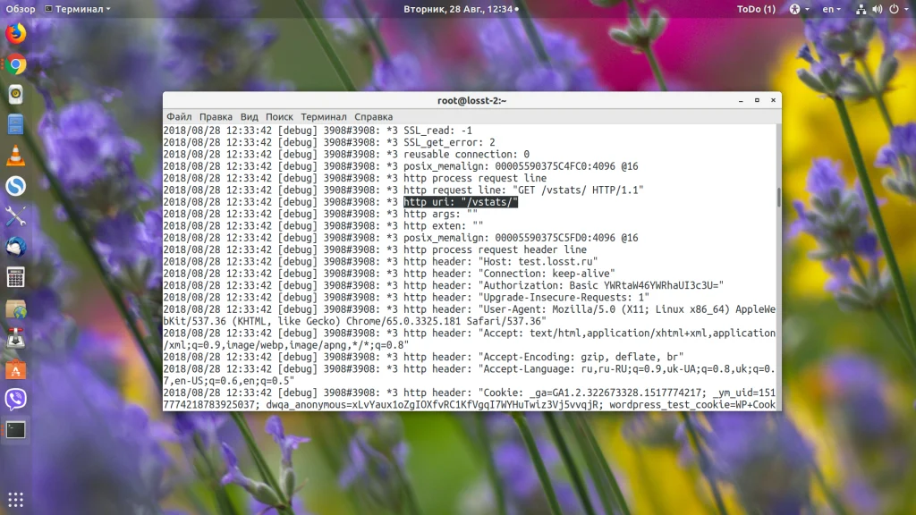 Страница не найдена в Nginx: как быстро найти и исправить причину ошибки 404