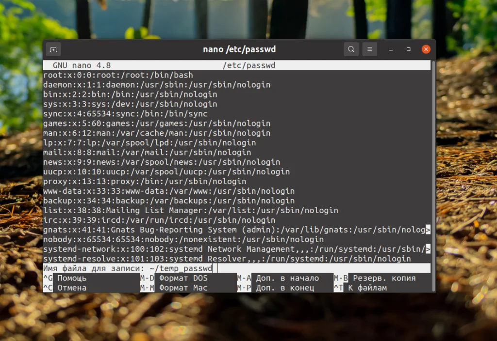 Сохраняем в nano без стресса: 2 простых способа для новичков Linux