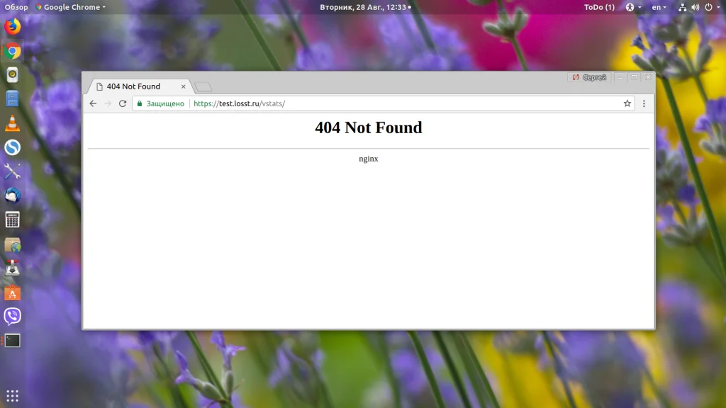 Страница не найдена в Nginx: как быстро найти и исправить причину ошибки 404