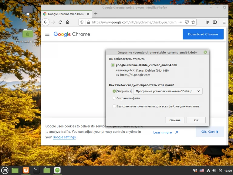 Установи Google Chrome в Linux Mint: 3 рабочих способа для уверенных пользователей