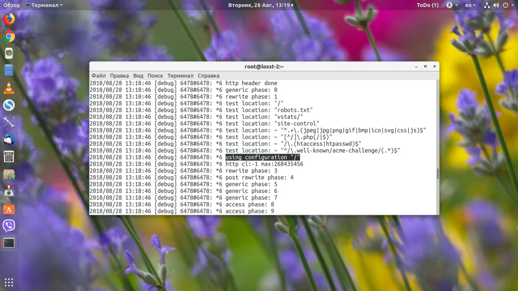 Страница не найдена в Nginx: как быстро найти и исправить причину ошибки 404