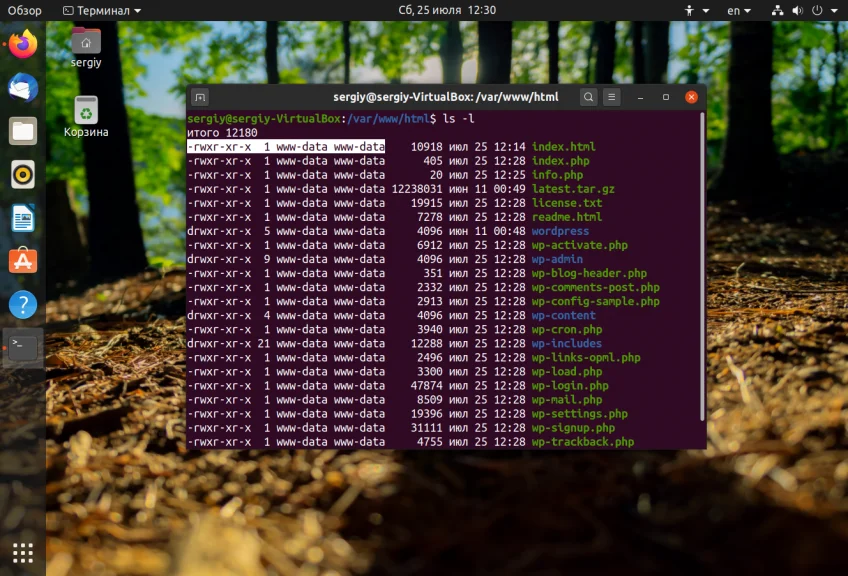 WordPress на Ubuntu: Пошаговая установка за 15 минут