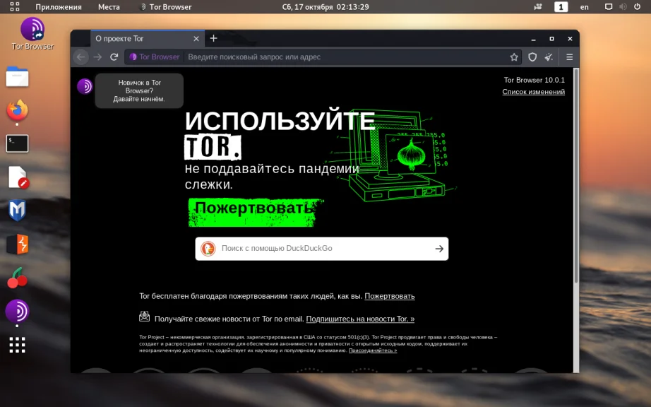 Kali Linux: Полная настройка системы для работы после установки