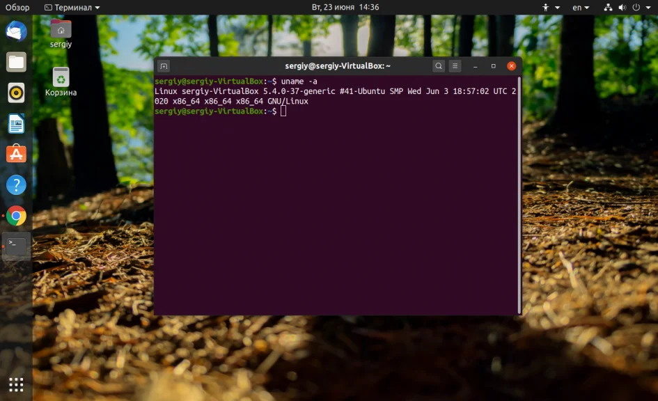 Какая у тебя Ubuntu? 4 быстрых способа узнать версию