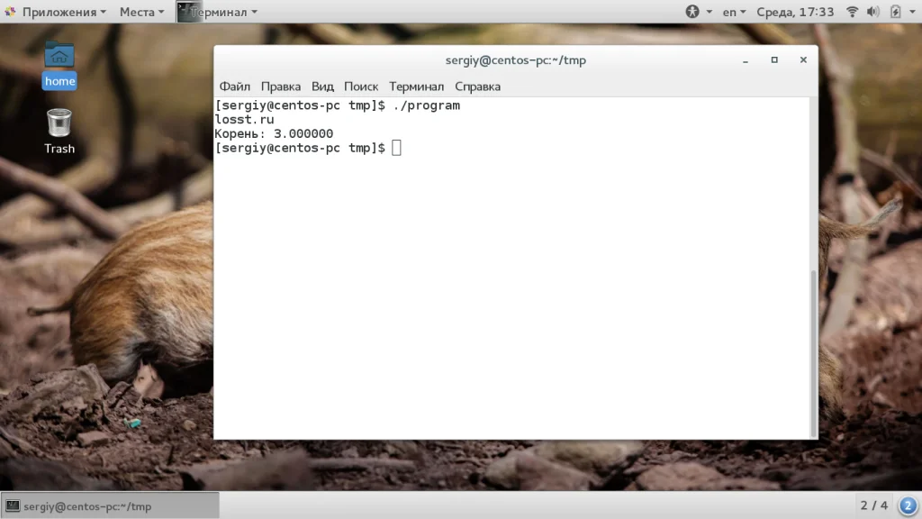 Создаём с нуля: твой первый код для Linux