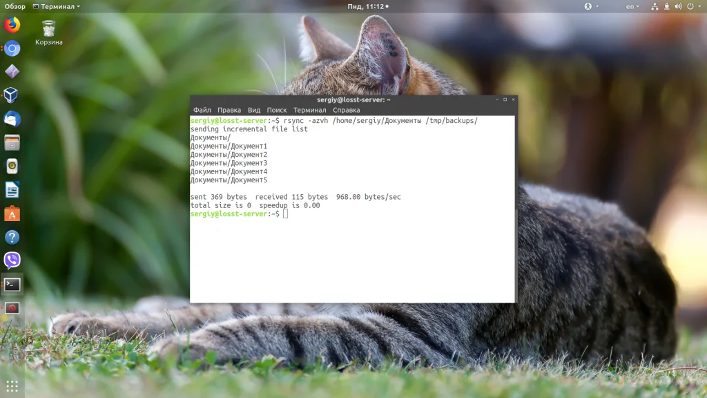 Rsync: Полное руководство по синхронизации файлов с примерами команд