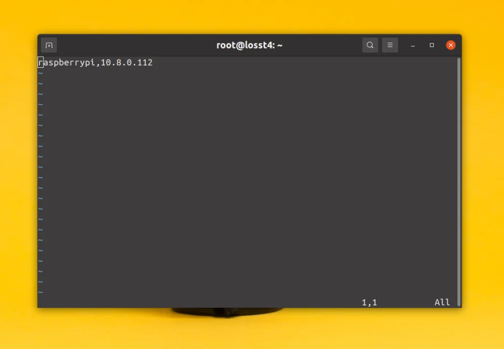 Забудьте о смене IP: Как закрепить постоянный адрес для устройств в OpenVPN
