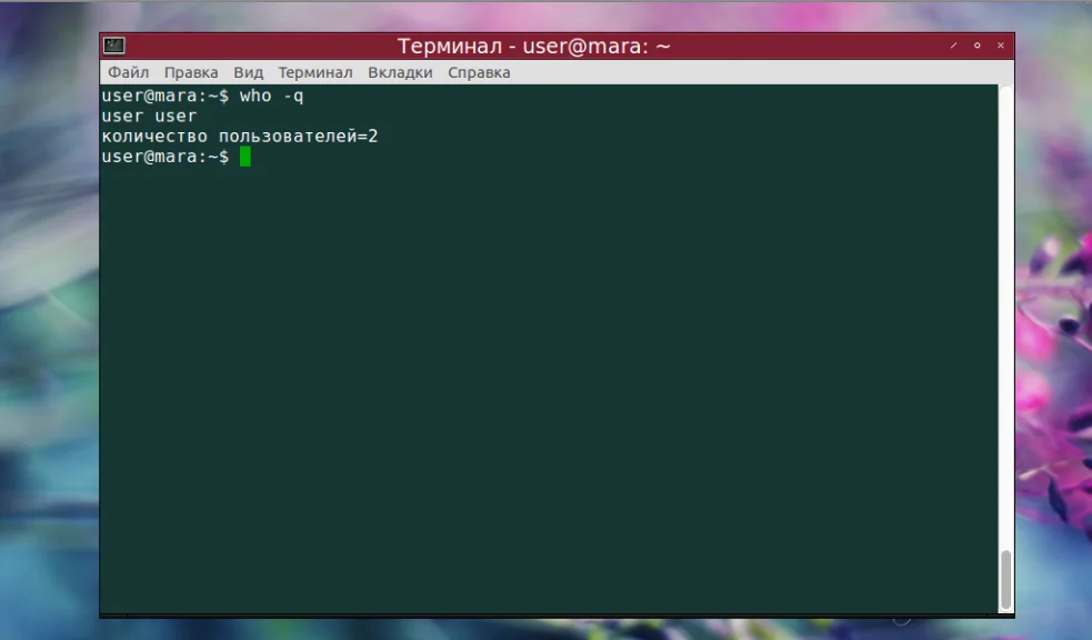 Кто сейчас в системе? Изучаем команду who в Linux