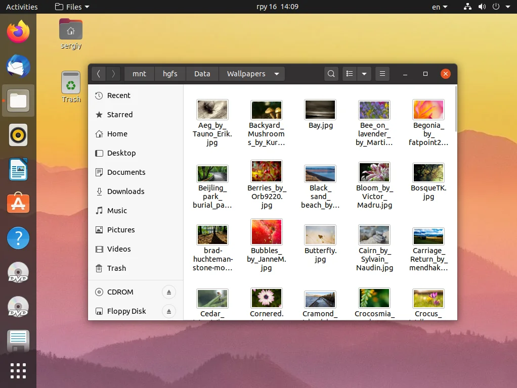 Общая папка в VMware: Быстрый обмен файлами между Linux-системами