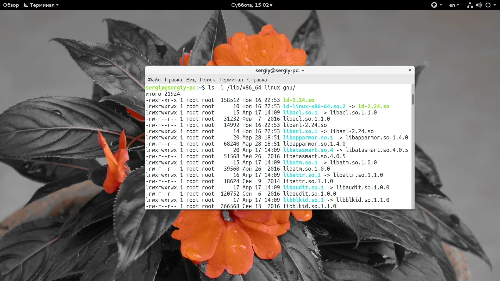 Невидимые герои Linux: как библиотеки делают вашу систему мощной