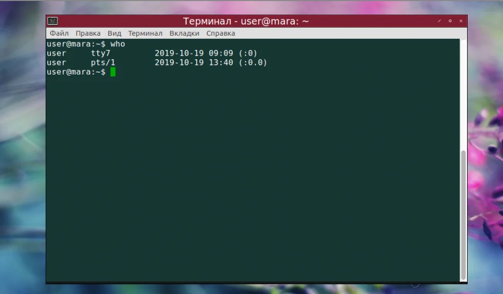 Кто сейчас в системе? Изучаем команду who в Linux