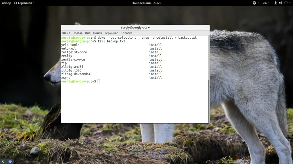 Ubuntu: 5 способов создать резервную копию системы, которые спасут ваши данные