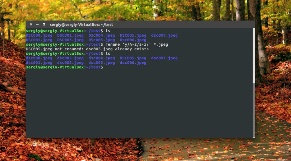 Переименование файлов в Linux: 3 способа для новичков и профи