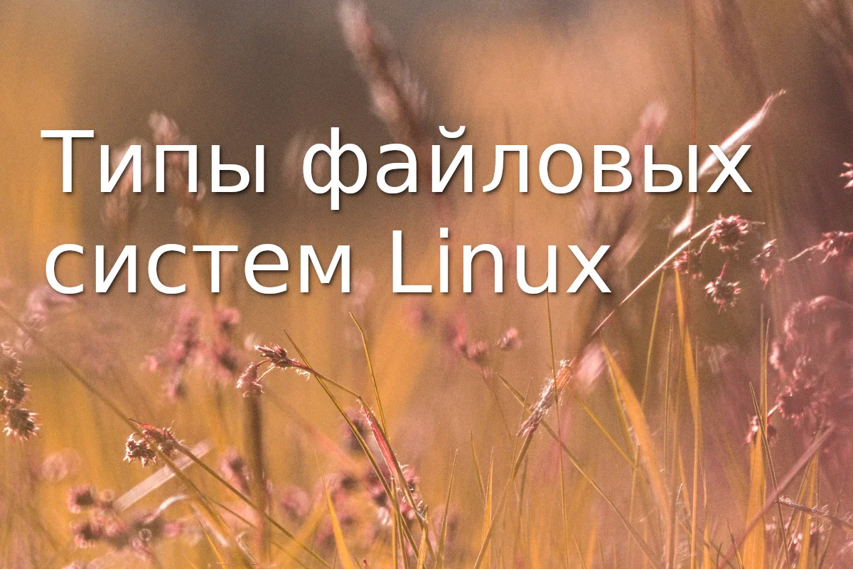 Файловые системы Linux: какая подойдет именно вам?