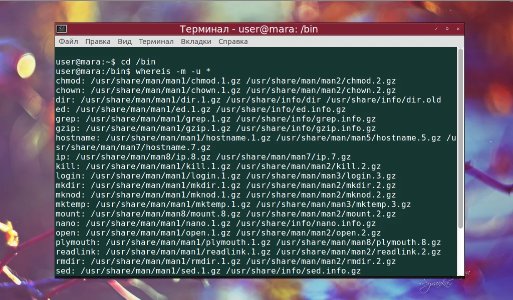 Whereis в Linux: Как быстро найти любой файл или команду в системе