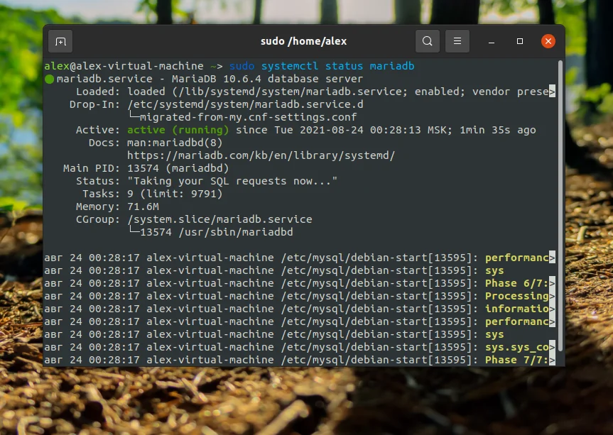 MariaDB в Ubuntu 20.04: Полное руководство по установке и настройке