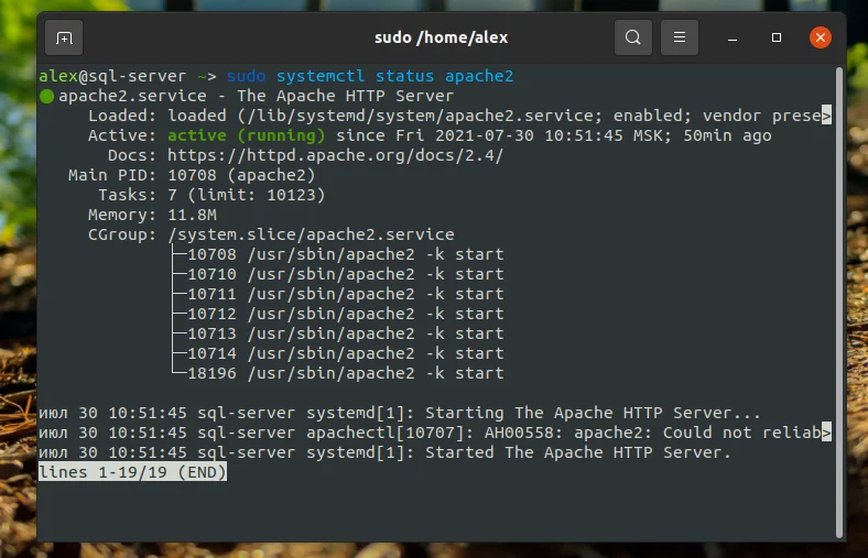 LAMP на Ubuntu 20.04: Полное руководство по установке и настройке веб-сервера