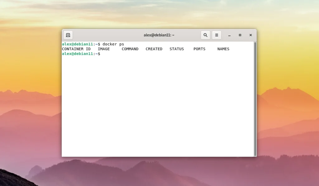 Docker на Debian 11: Полная инструкция по установке и настройке