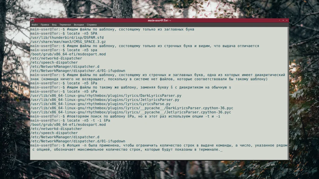 Найдите любой файл в Linux за секунды: Полное руководство по команде locate
