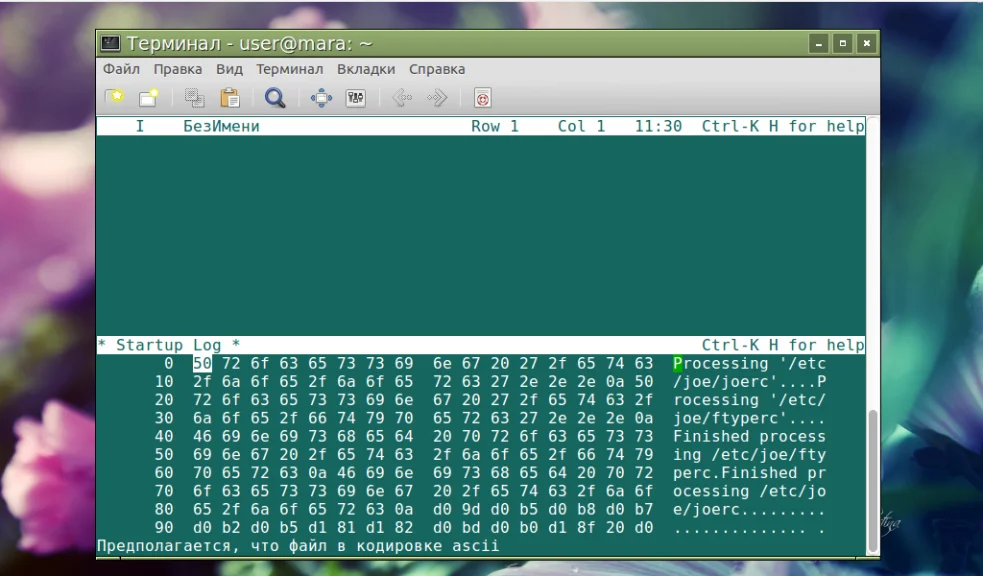 Загляни под капот файла: Топ-15 HEX-редакторов для Linux