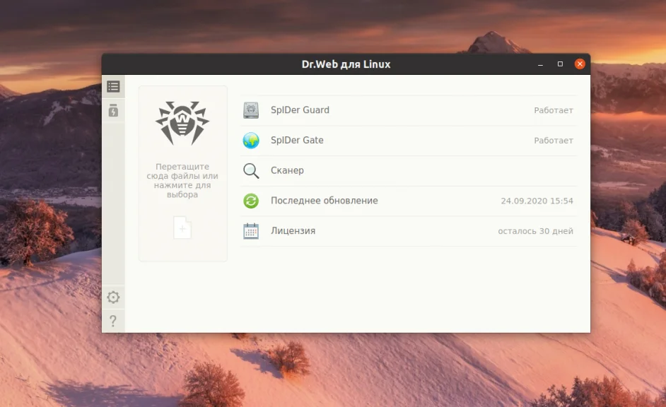 Топ-11 антивирусов для Linux: полный разбор и тесты эффективности