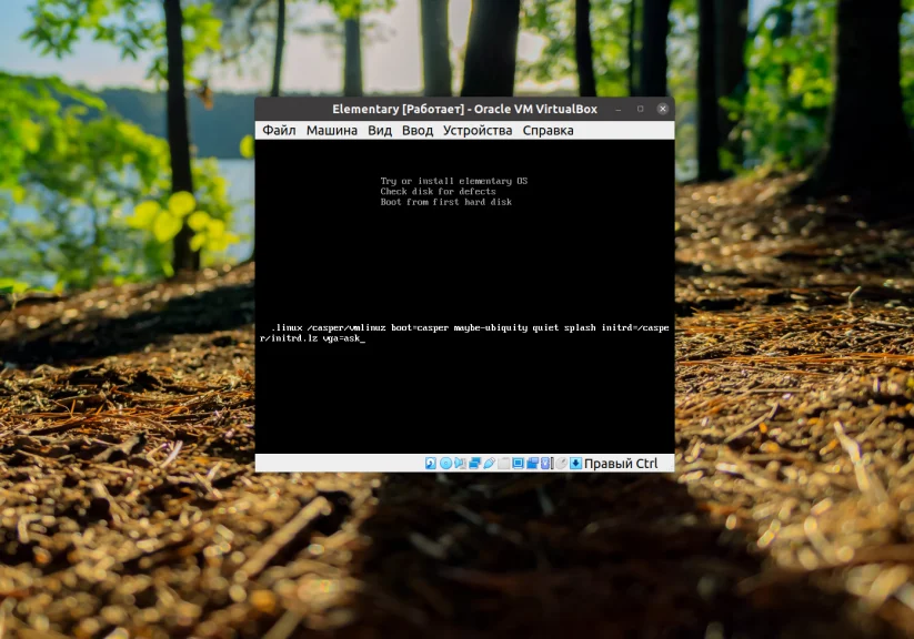 Ubuntu в VirtualBox: как исправить маленький экран и настроить удобное разрешение