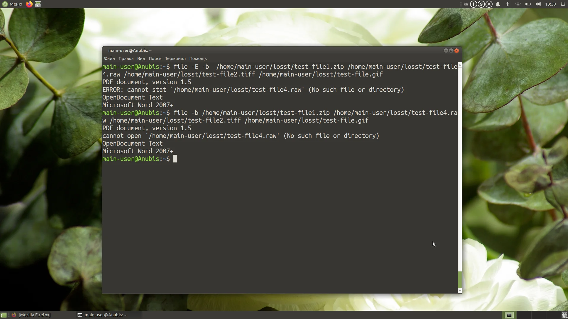 Команда file в Linux: Как узнать, что скрывает файл на самом деле