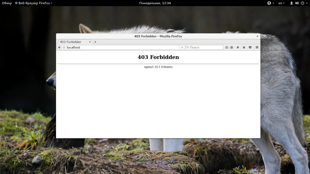 Застряли на ошибке 403 Forbidden в Nginx? Вот как быстро ее исправить!