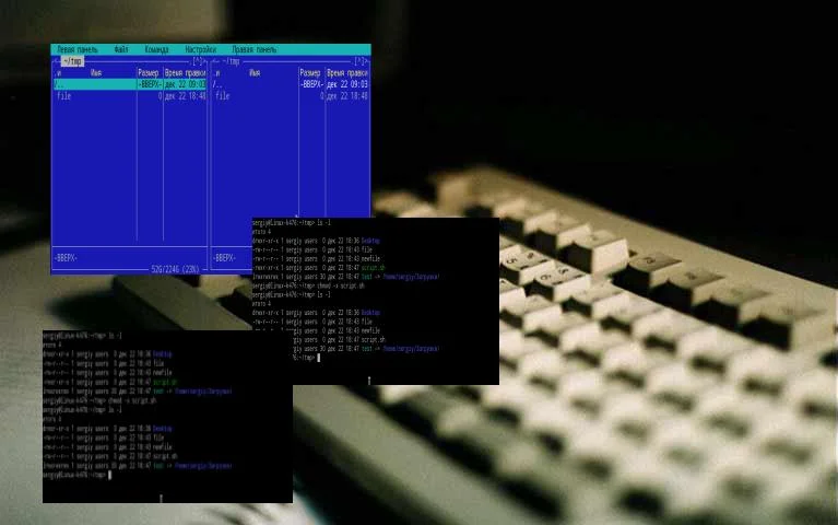 Файлы в Linux: 11 команд терминала, без которых не обойтись