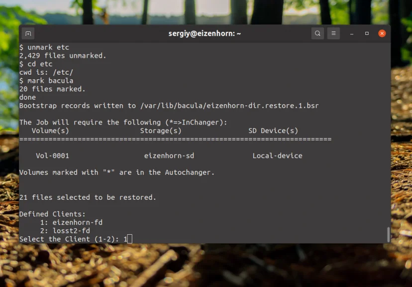 Bacula: Настройте надежное резервное копирование на Linux за 6 шагов